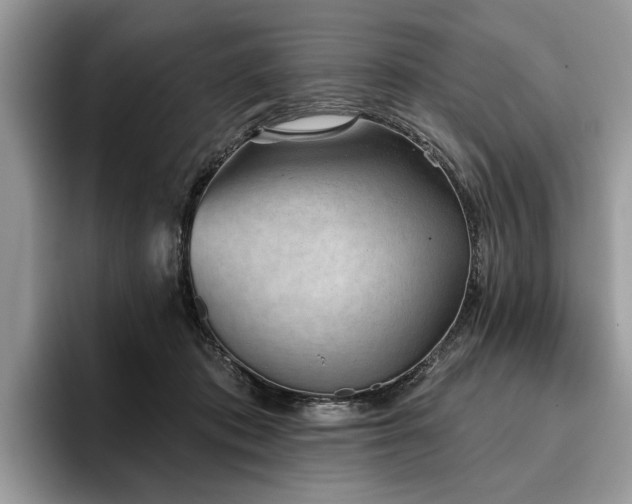 X0000096210413200801181434