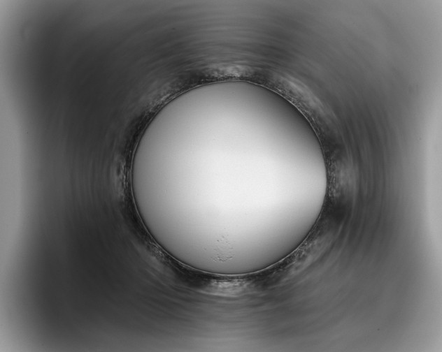 X0000096210414200801181434