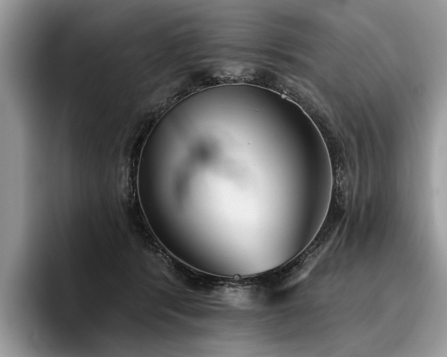 X0000096210416200801181434