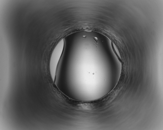 X0000096210417200801181434