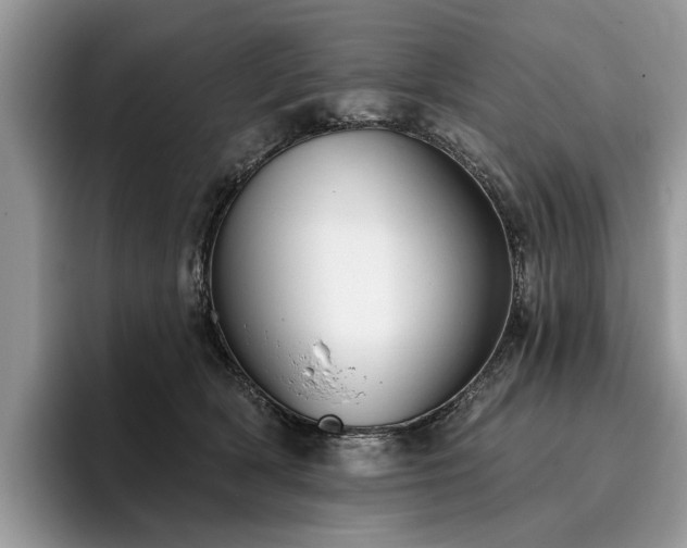 X0000096210418200801181434