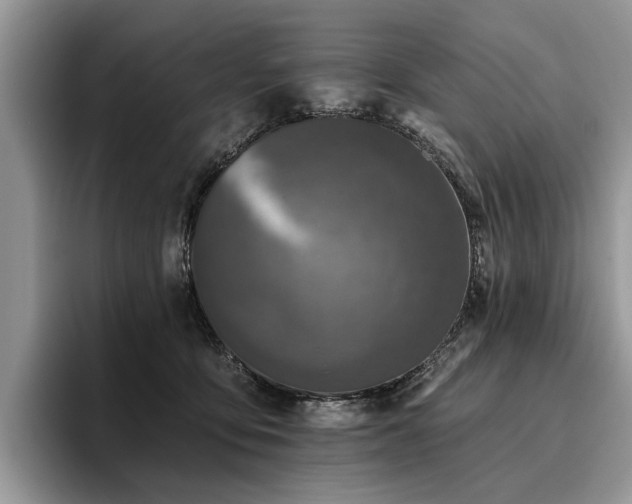 X0000096210419200801181434