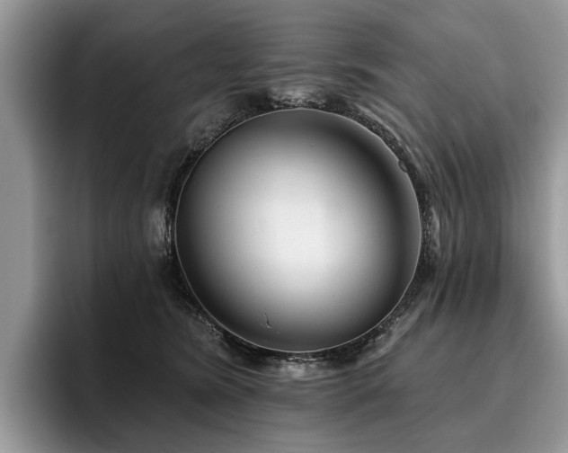 X0000096210420200801181434