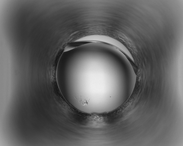 X0000096210421200801181434
