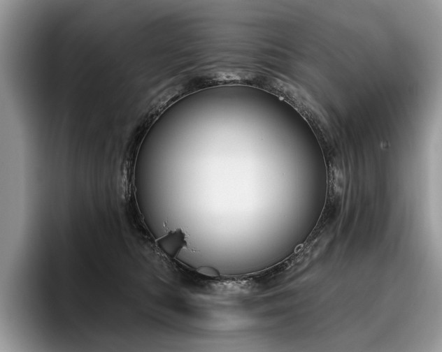 X0000096210422200801181434