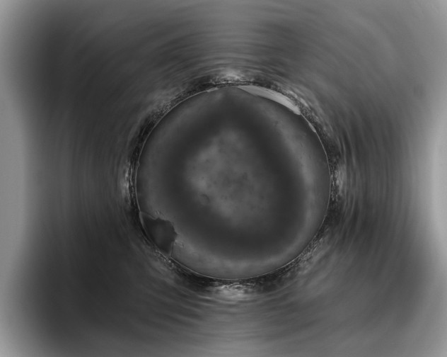 X0000096210423200801181434