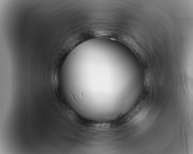 X0000096210426200801181434
