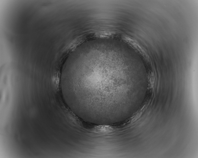 X0000096210427200801181434