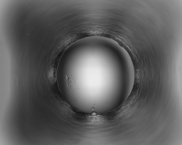 X0000096210428200801181434