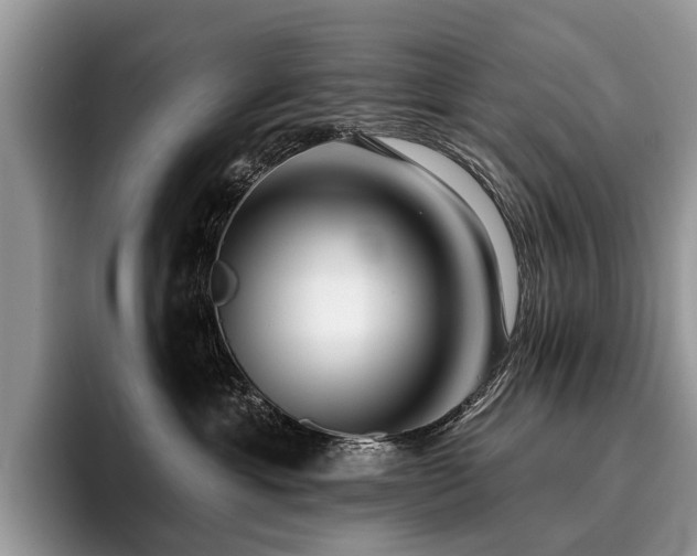 X0000096210429200801181434