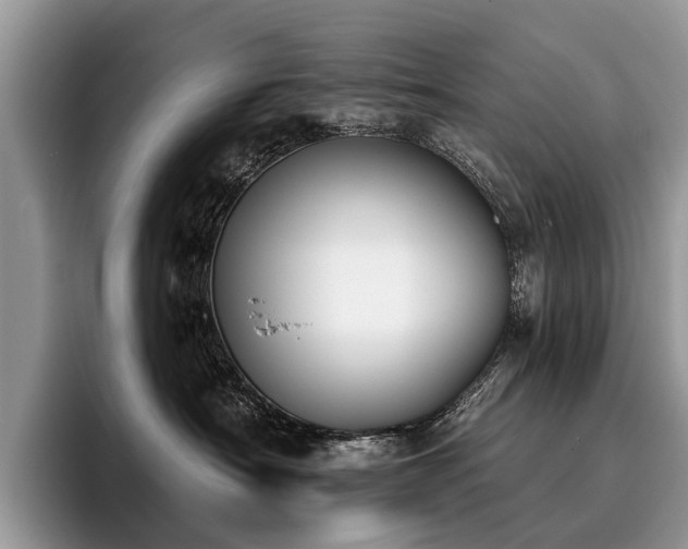 X0000096210430200801181434