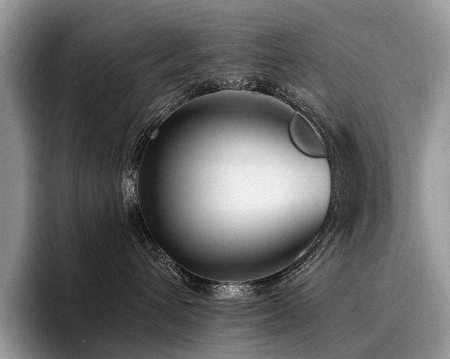 X0000096210432200801181434