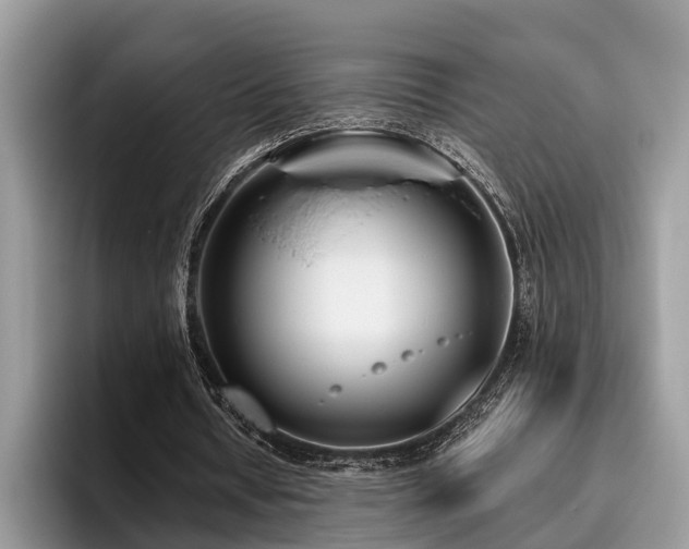 X0000096210434200801181433