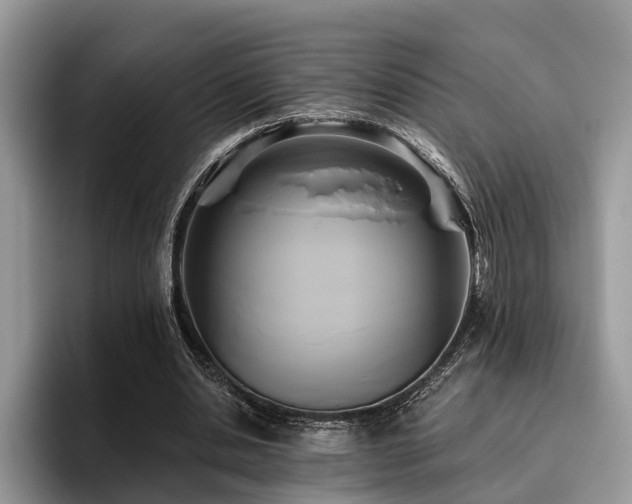 X0000096210438200801181433