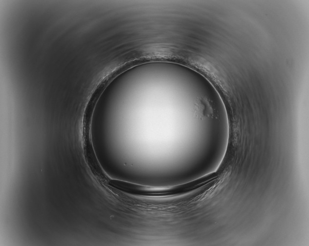 X0000096210439200801181433