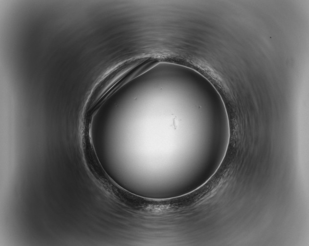 X0000096210440200801181433