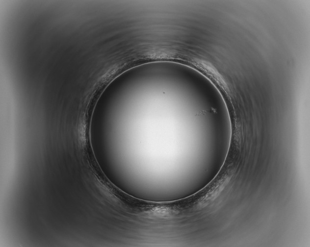 X0000096210441200801181433