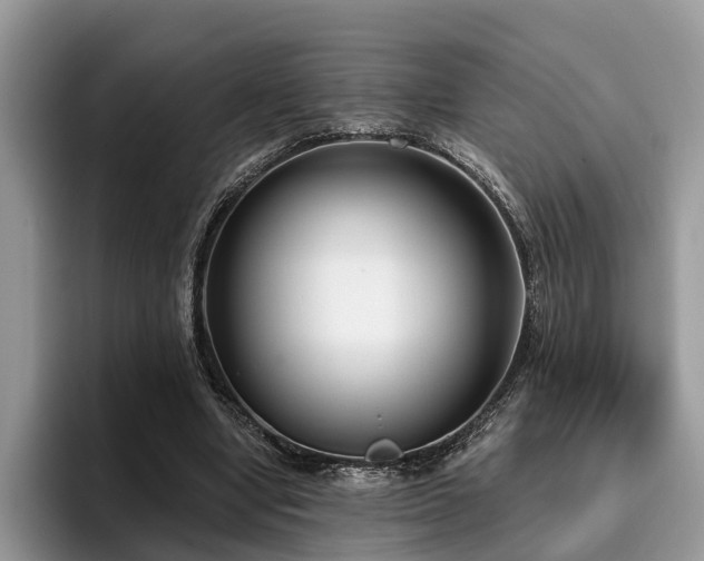 X0000096210442200801181433