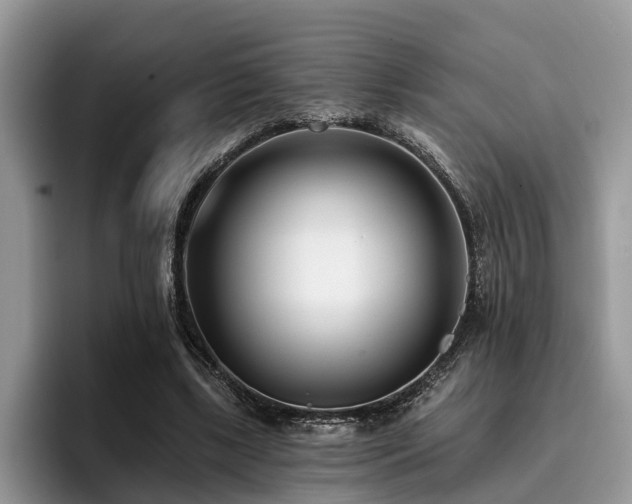 X0000096210443200801181433