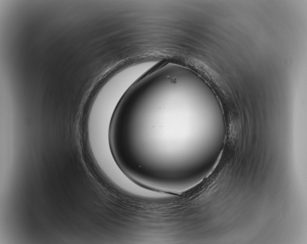 X0000096210444200801181433