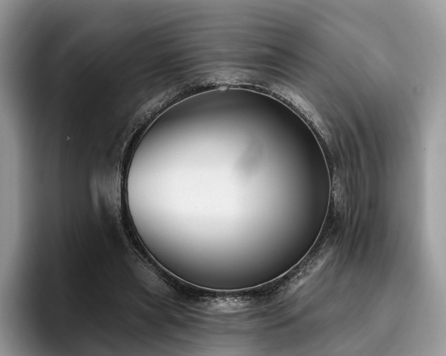 X0000096210445200801181433