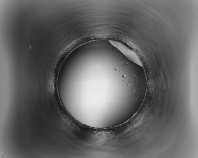 X0000096210446200801181433