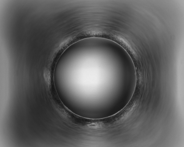 X0000096210447200801181433