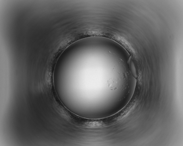 X0000096210449200801181433