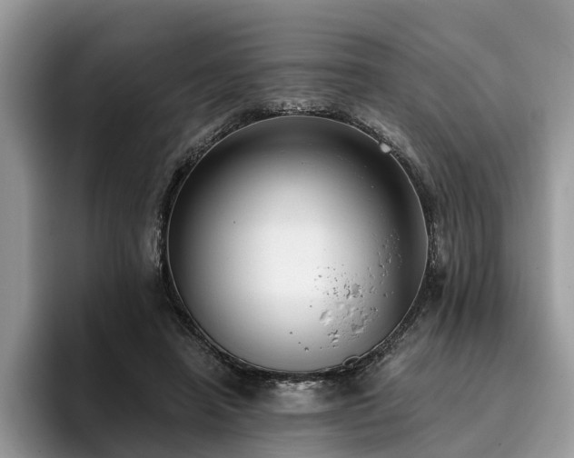 X0000096210450200801181433