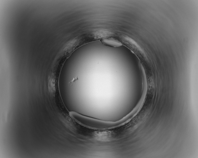 X0000096210452200801181434