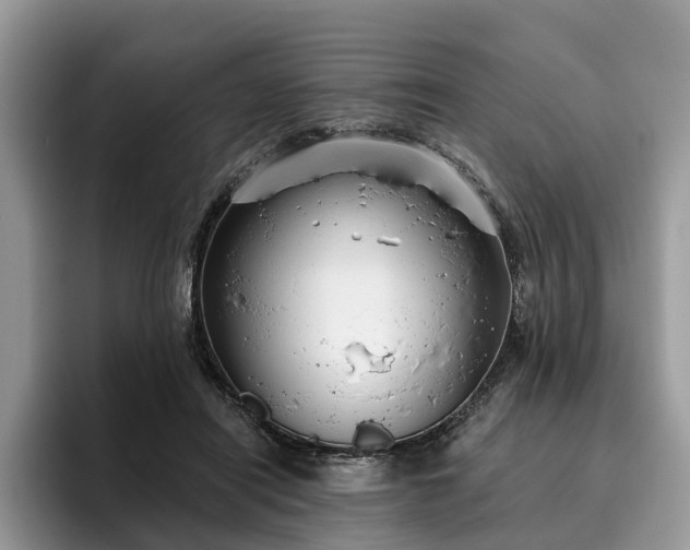 X0000096210454200801181434