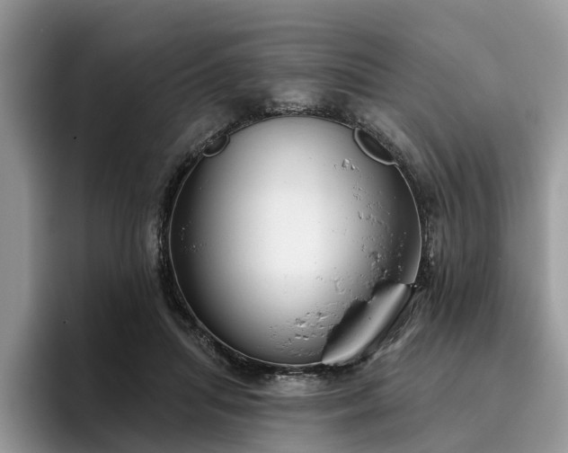 X0000096210455200801181434