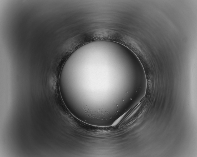 X0000096210458200801181434