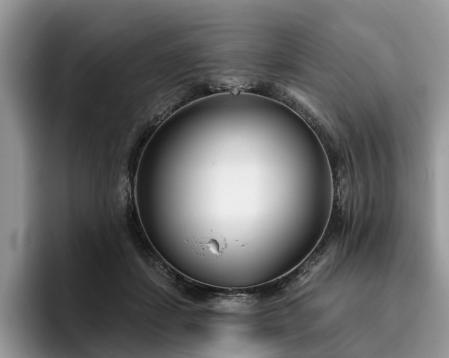 X0000096210459200801181434