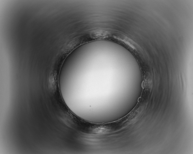 X0000096210460200801181434