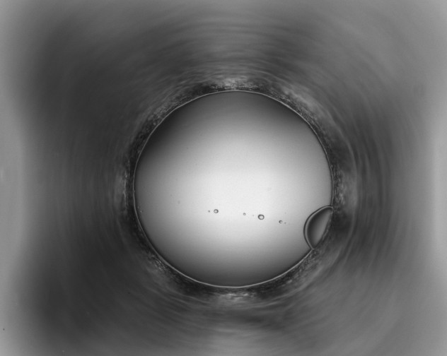 X0000096210461200801181434