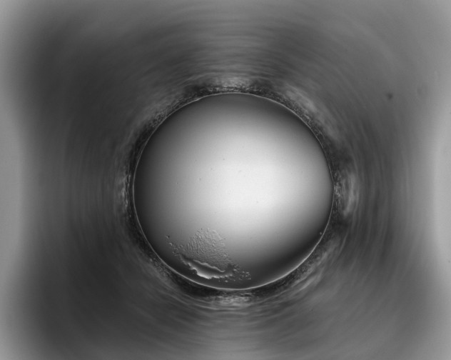X0000096210462200801181434