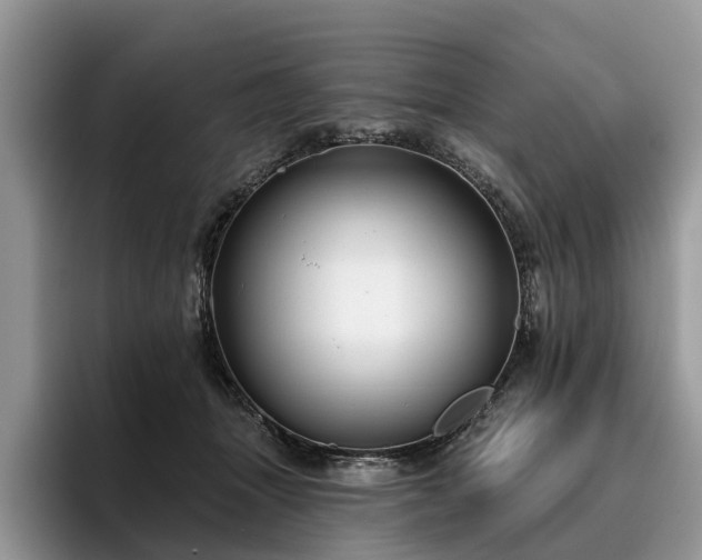 X0000096210463200801181434
