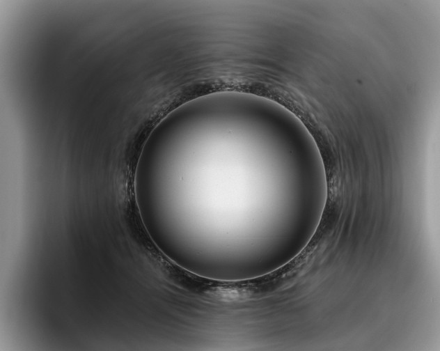 X0000096210464200801181434