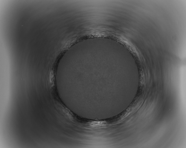 X0000096210465200801181434
