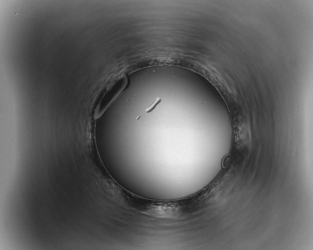 X0000096210466200801181434