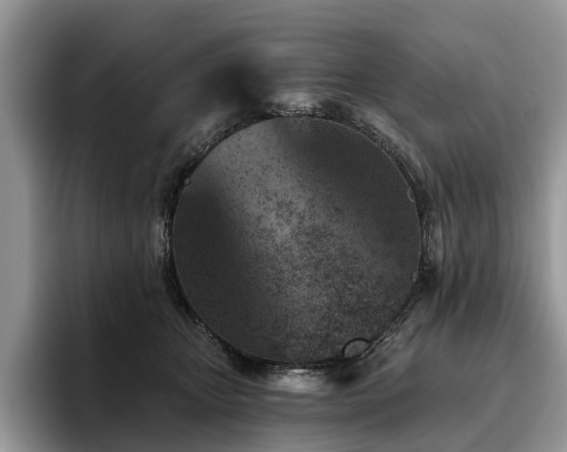 X0000096210467200801181434