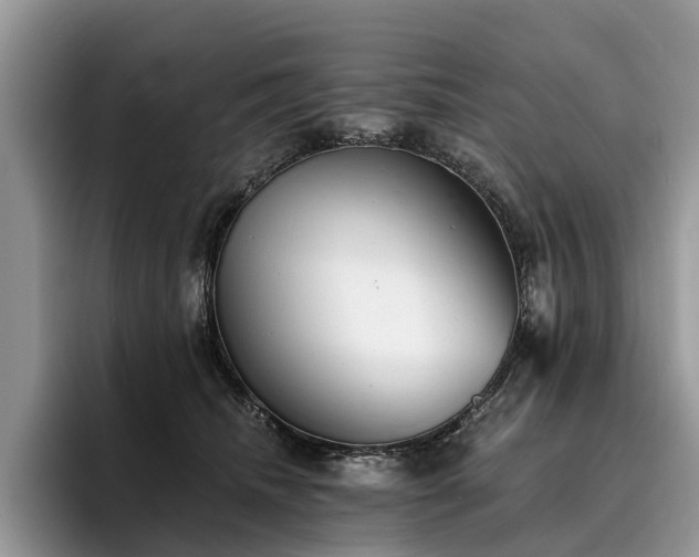 X0000096210468200801181434