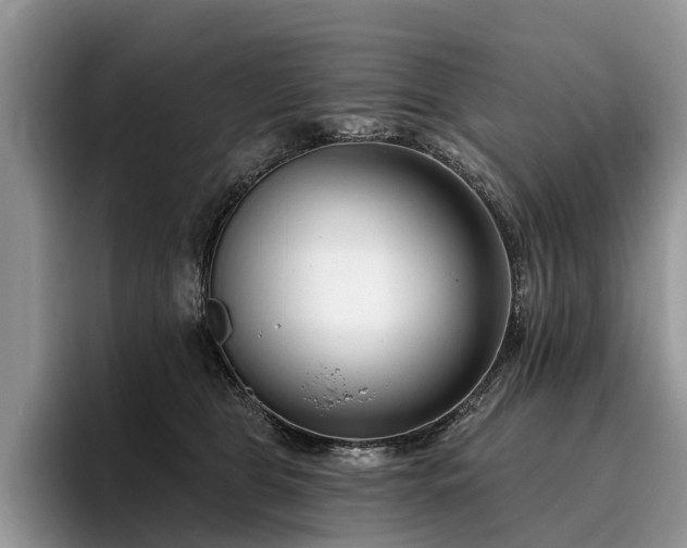 X0000096210469200801181434