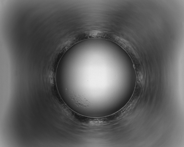 X0000096210470200801181434