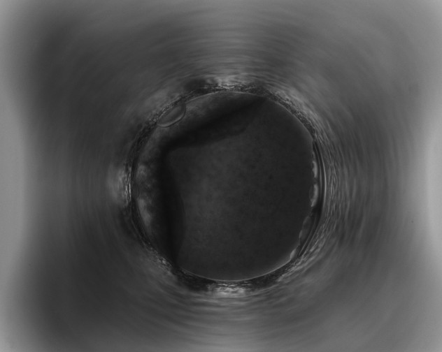 X0000096210471200801181434