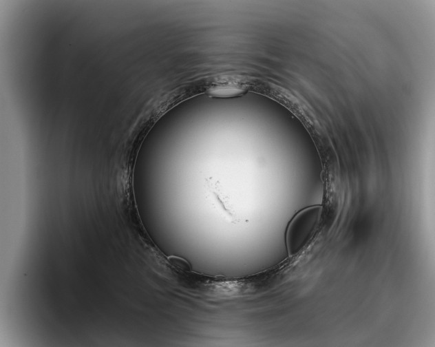 X0000096210473200801181434
