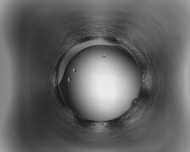 X0000096210474200801181434