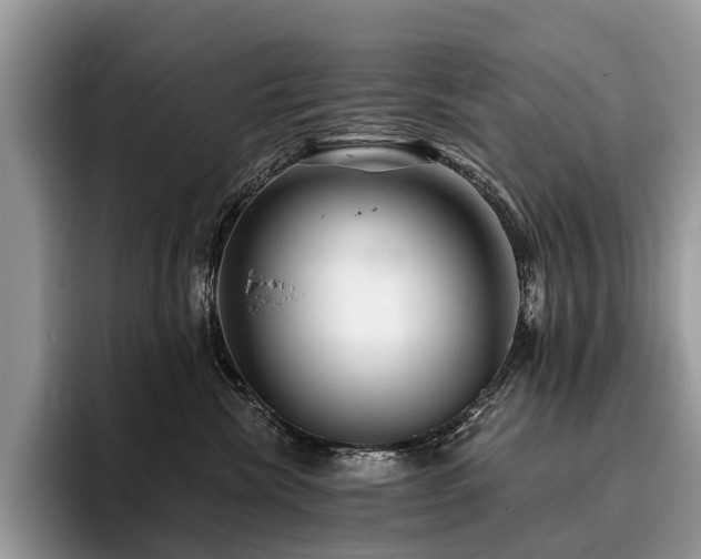 X0000096210476200801181434