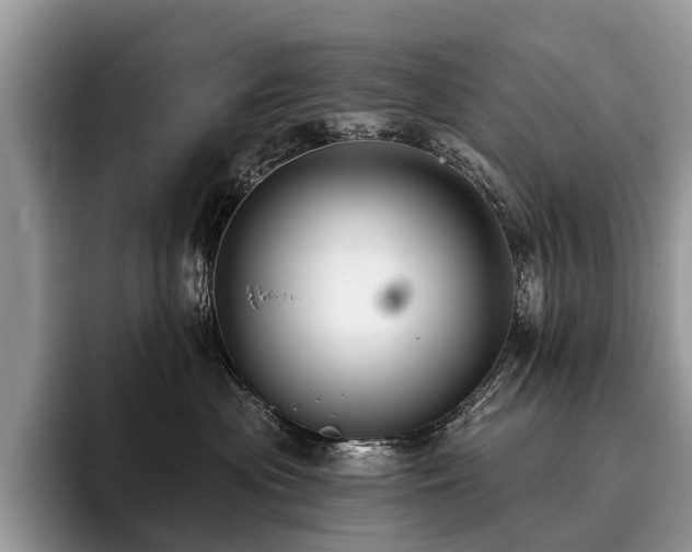 X0000096210477200801181434